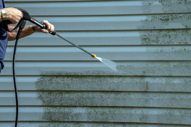 Best Pressure Washing Siding  in Muscoda, WI