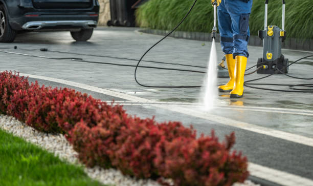 Best Roof Pressure Washing  in Muscoda, WI